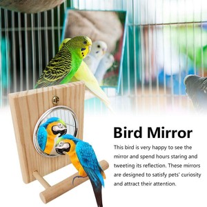 bird swing with mirror