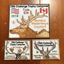 Challenge Trophy Camporee Patch Seneca Waterways Council NY 2018 Deer Lot 2 CTC