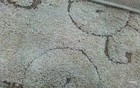 Bild 3 von 4