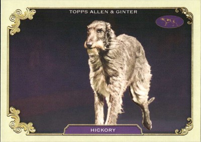 2024 Topps Allen and Ginter MLB Baseball Standard Sized Inserts Pick From List