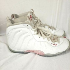foamposite takeout bag