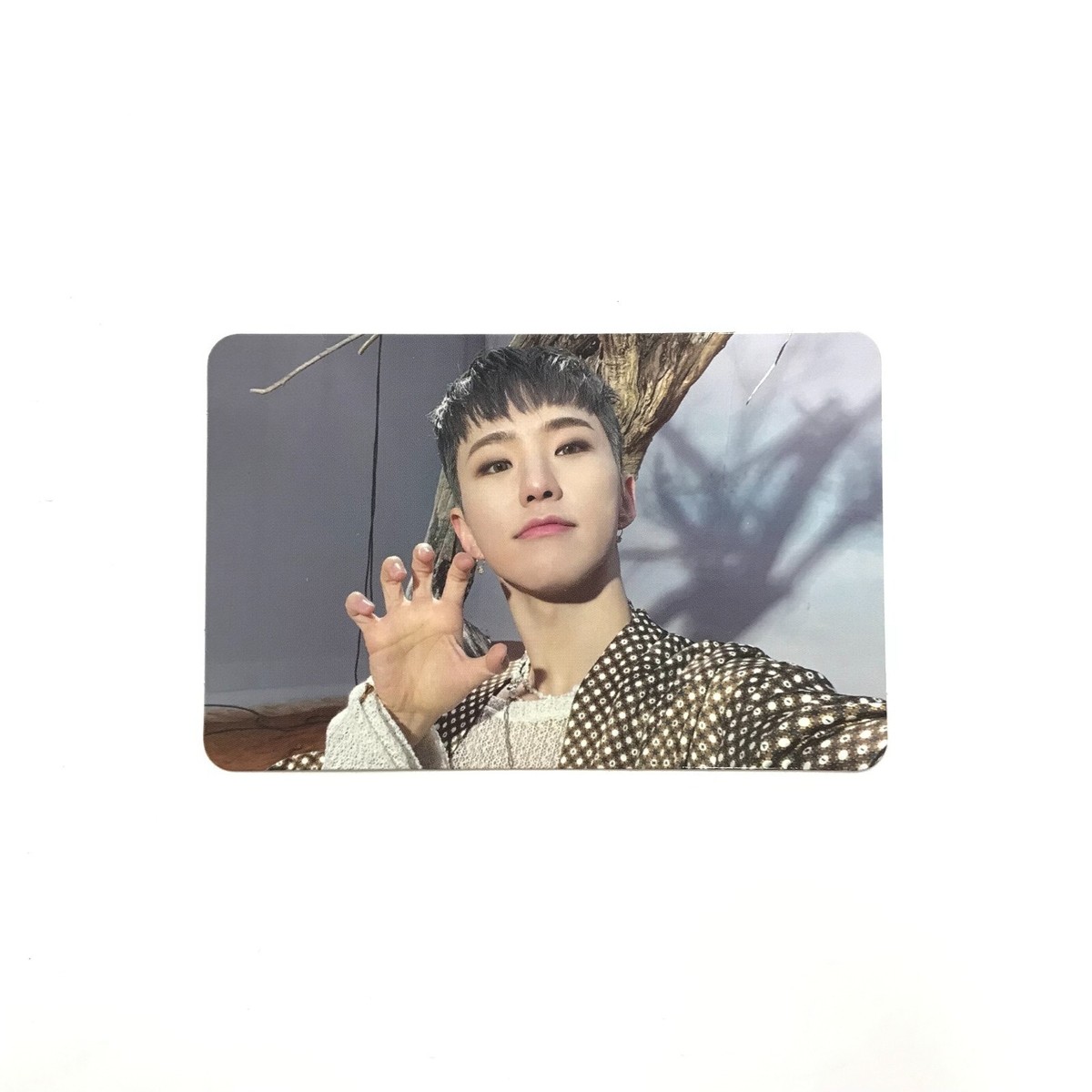 SEVENTEEN] Face the Sun / Ep.3 Ray / Official Photocard - Hoshi 3