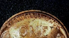 1954-D BU **Error** *Broadstrike* Red Lincoln Wheat Cent ~ Free Shipping! #1