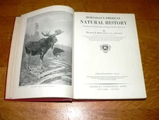 Vintage 1927 Hornaday's American Natural History Illustrated HC Wildlife Book
