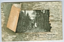 Milton VT Gathering Arbutus