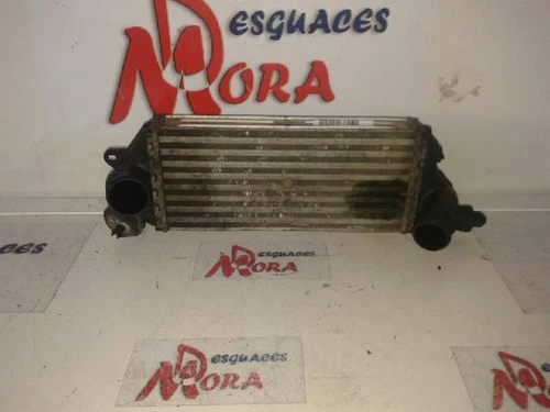 C1010 Ladeluftkühler für BMW MINI (R50,R53) * 403924 - Bild 1 von 2