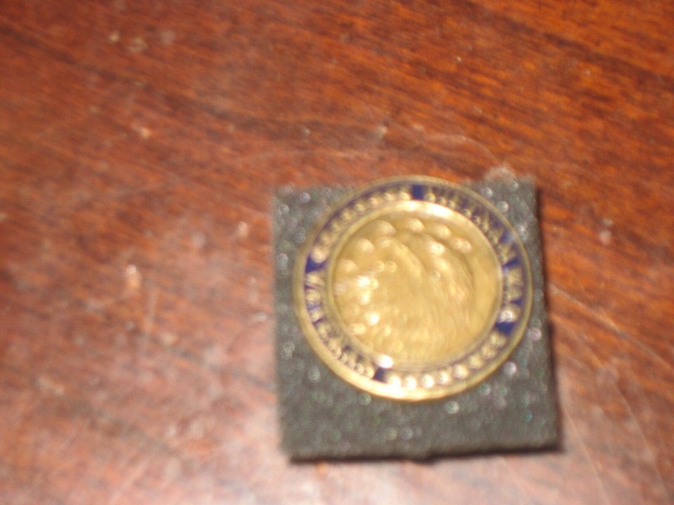VIETNAM WAR VETERAN ; Military CHALLENGE COIN/PIN; Eagle center; Nickel