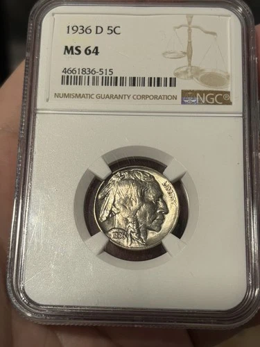 1936 D BUFFALO NICKEL NGC MS 64 WELL STRUCK WITH LUSTROUS GLOSSY BRUSHED NICKEL
