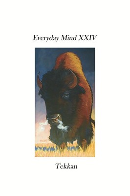 Tekkan | Everyday Mind XXIV | Taschenbuch | Englisch (2021) | Indy Pub