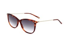 Safilo LINEA/T 15/S HAVANA GOLD 53/15/140 Women's Sunglasses