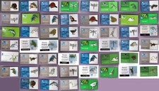 RSPB pin badges - The River and River Bank Selection