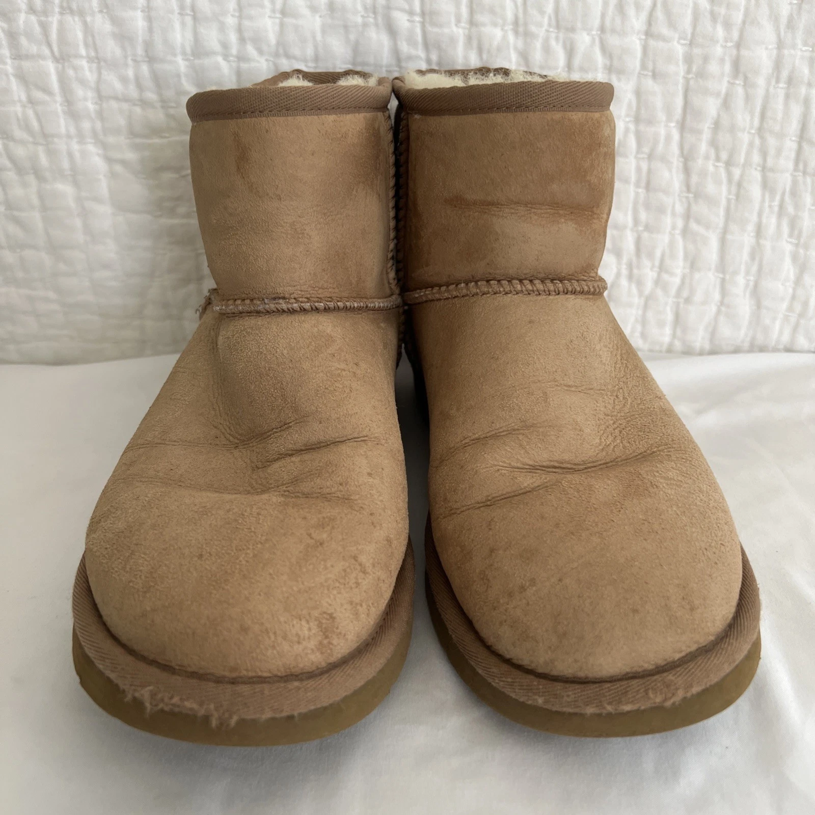 Stivali in shearling UGG Mini II in ottime condizioni taglia 8