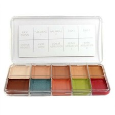 PPI Skin Illustrator Fleshtone Alcohol Activated Professional Makeup Palette