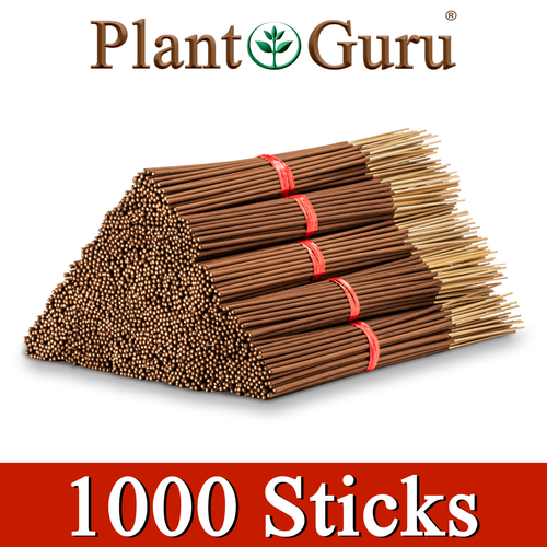1000 Unscented Incense Sticks 11" BULK WHOLESALE 100 Natural Joss Punk