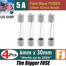 4 Pcs Fast-Blow Fuse 5A 250V Glass Fuses 6 x 30 mm 5 amp  US Ship