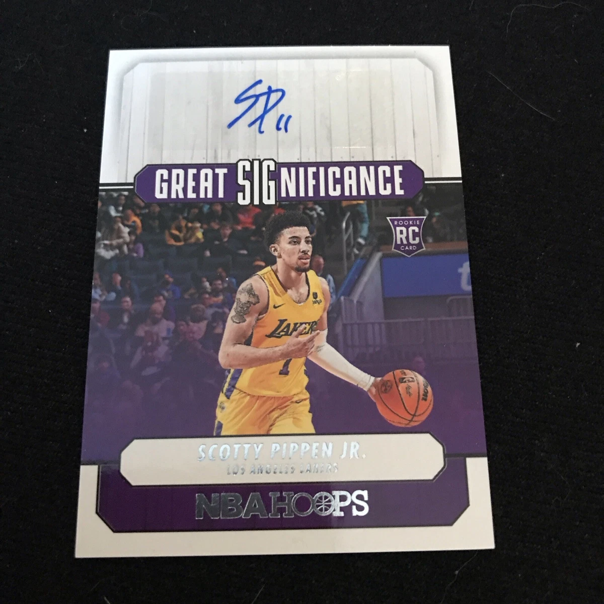 Panini Scottie Pippen Basketball Autographed ungraded Sports