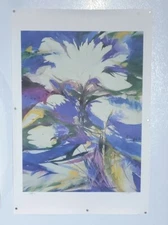 Zoe Mac Blue Fusion RARE Offset Lithograph #XXXVI/CDL Signed COA Retail $1200