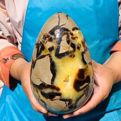 6.55LB Natural Turtle back dinosaur egg crystal quartz mineral healing 2122