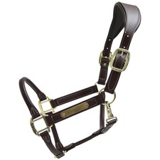 Kentucky Horsewear Braun Cob Lederhalfter Anatomic