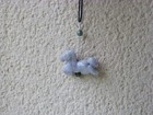 Bild 13 von 14