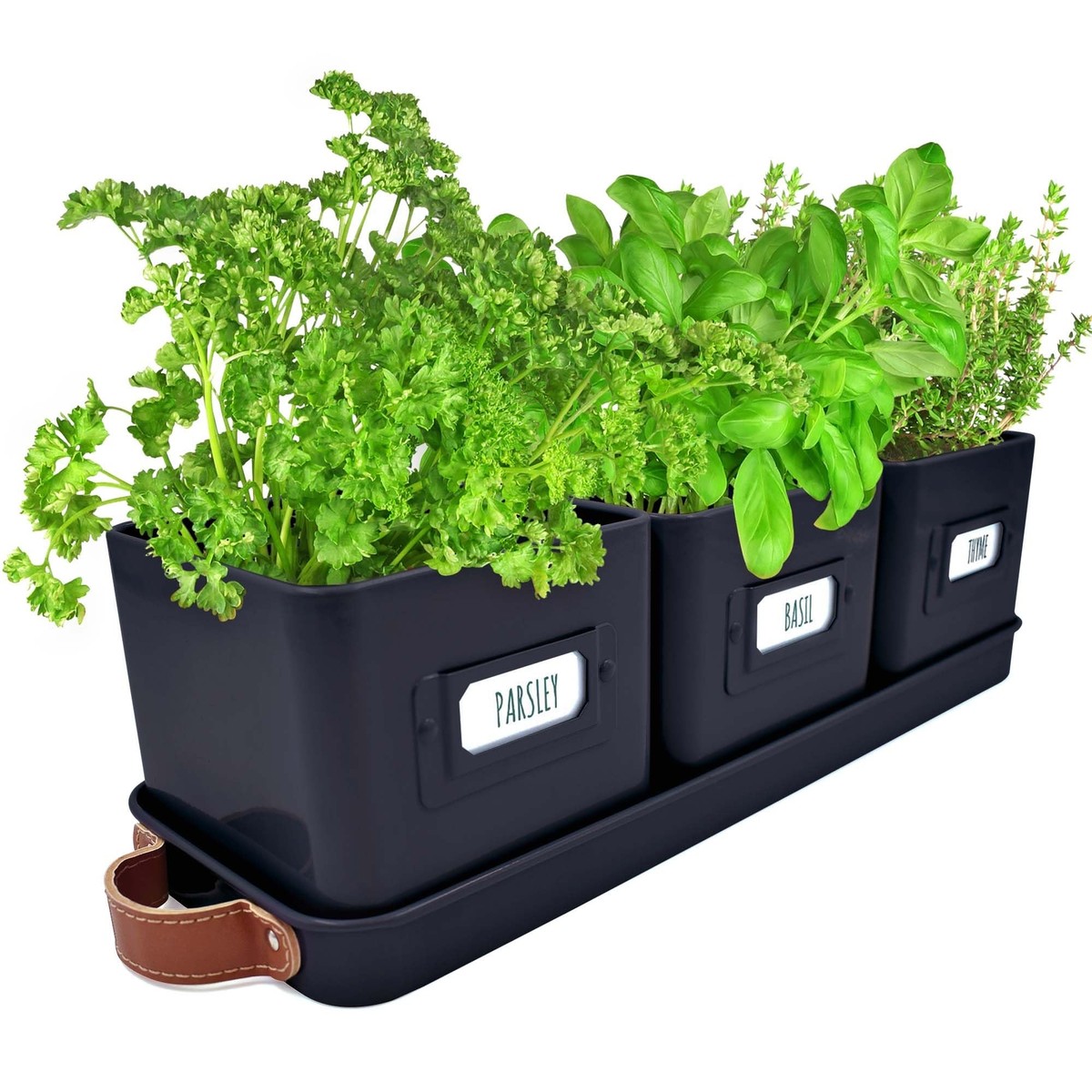 Herb Planter Indoor - Set of 3 Black Indoor Herb Garden Pots for Plants  with ... | eBay