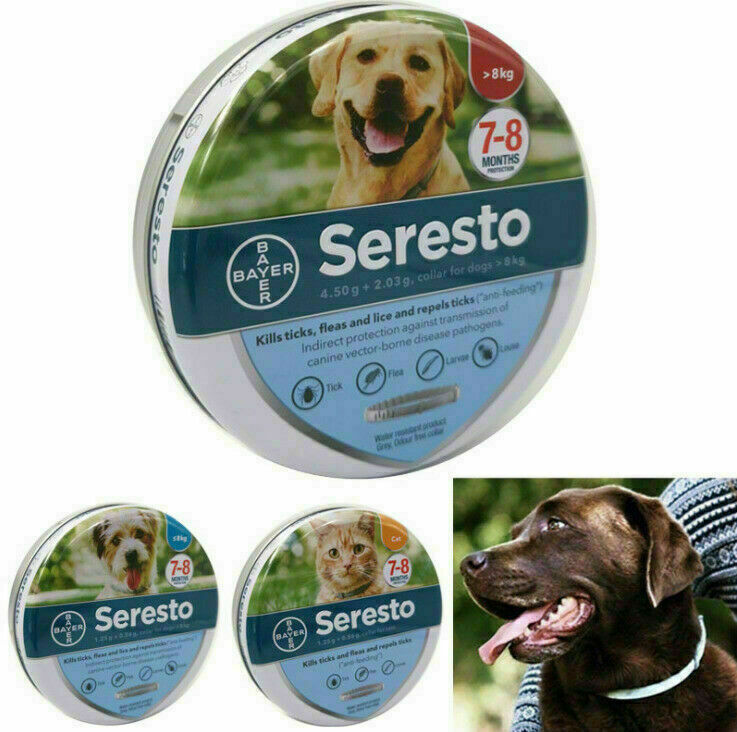Bayer Seresto cane oltre 8 kg collare antiparassitario per cani sopra 8kg NEW
