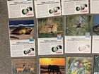 Wildlife as Canon Sees It  Print Ads Lot of 35 - 1980's  10 x 7 - Camera FD — photo 8