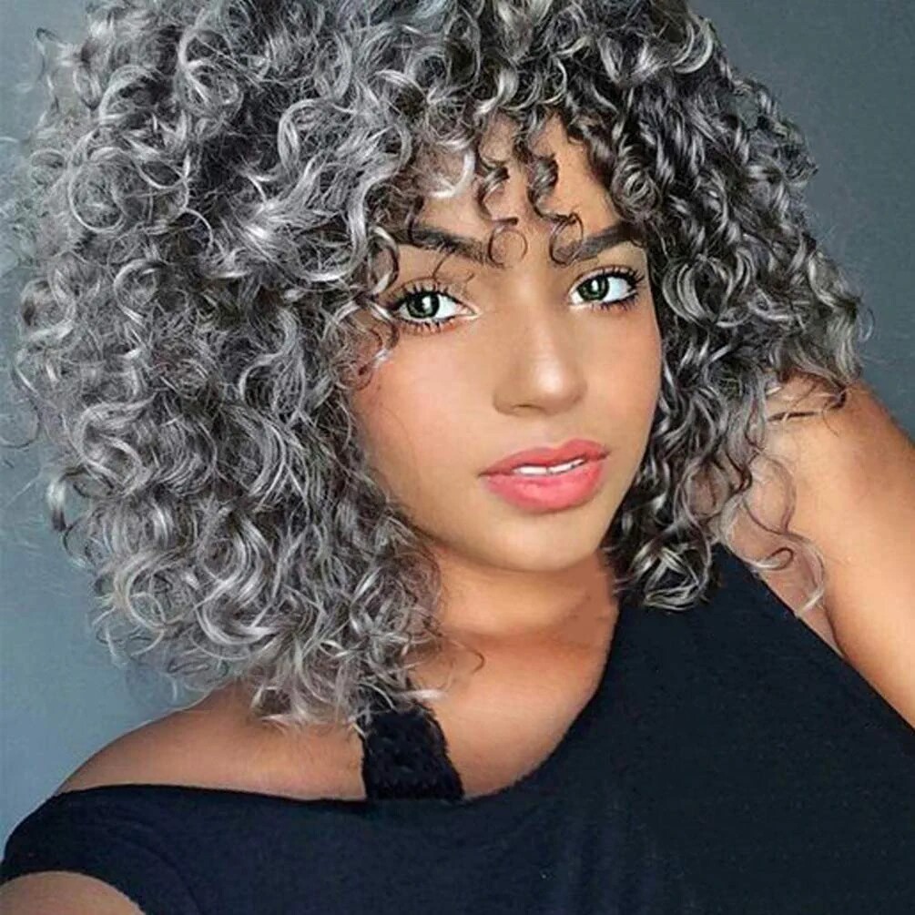 Black Grey Afro Curly Wave Synthetic Wig Heat Resistant  display picture 1
