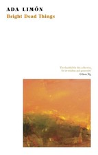 Image of Bright Dead Things by Ada Lim?n (English) Paperback Book