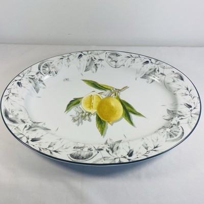 Williams Sonoma Meyer Lemon Large Oval Serving Platter  17.5''
