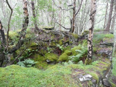 Photo 6x4 Looking down onto the lime kiln Dunalastair The trees had grown c2009