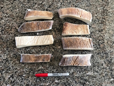 2 Pounds of Maine Moose Antler Dog Chews! Quality Paddle Pieces! Sm / Med Dogs!