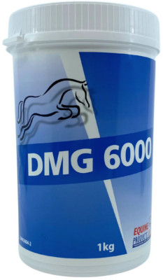 Equine Products UK DMG 6000 reduziert Milchsäure & Müdigkeit Erholung Ergänzung