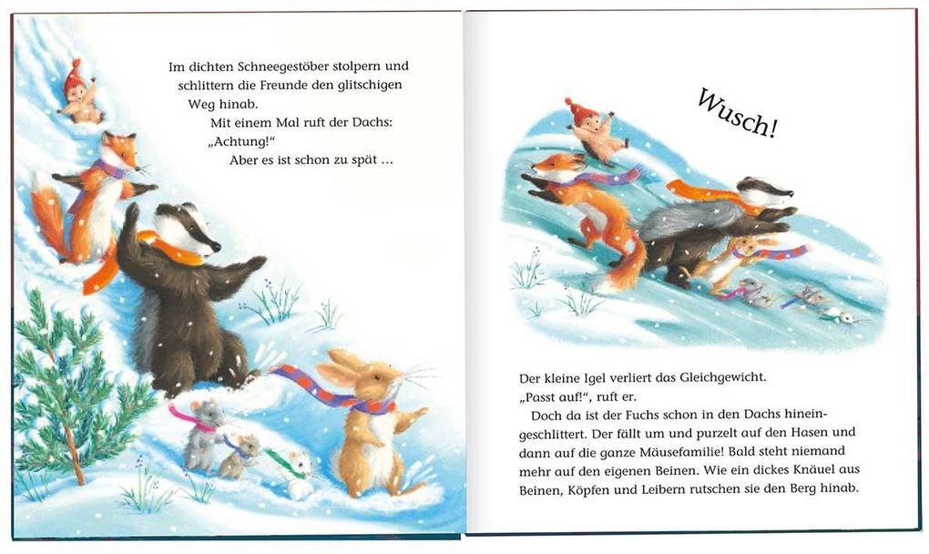 Thumbnail - Der Kleine Igel Und Die Schneelawine | M Christina Butler | 2020 |