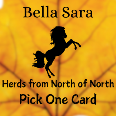 #ad Bella Sara Herds from North of North Choose One Card $1.00