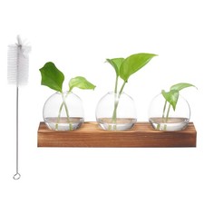 Small Plant Propagation Stations Glass Vases Wooden Tray 3 Bulb Flower Vase