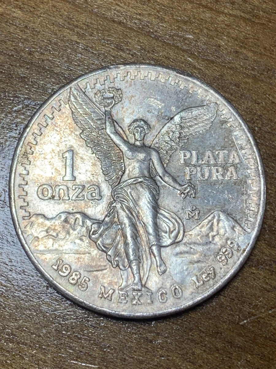 1985年 リバティシルバー 1985 liberty coin - Etsy 日本