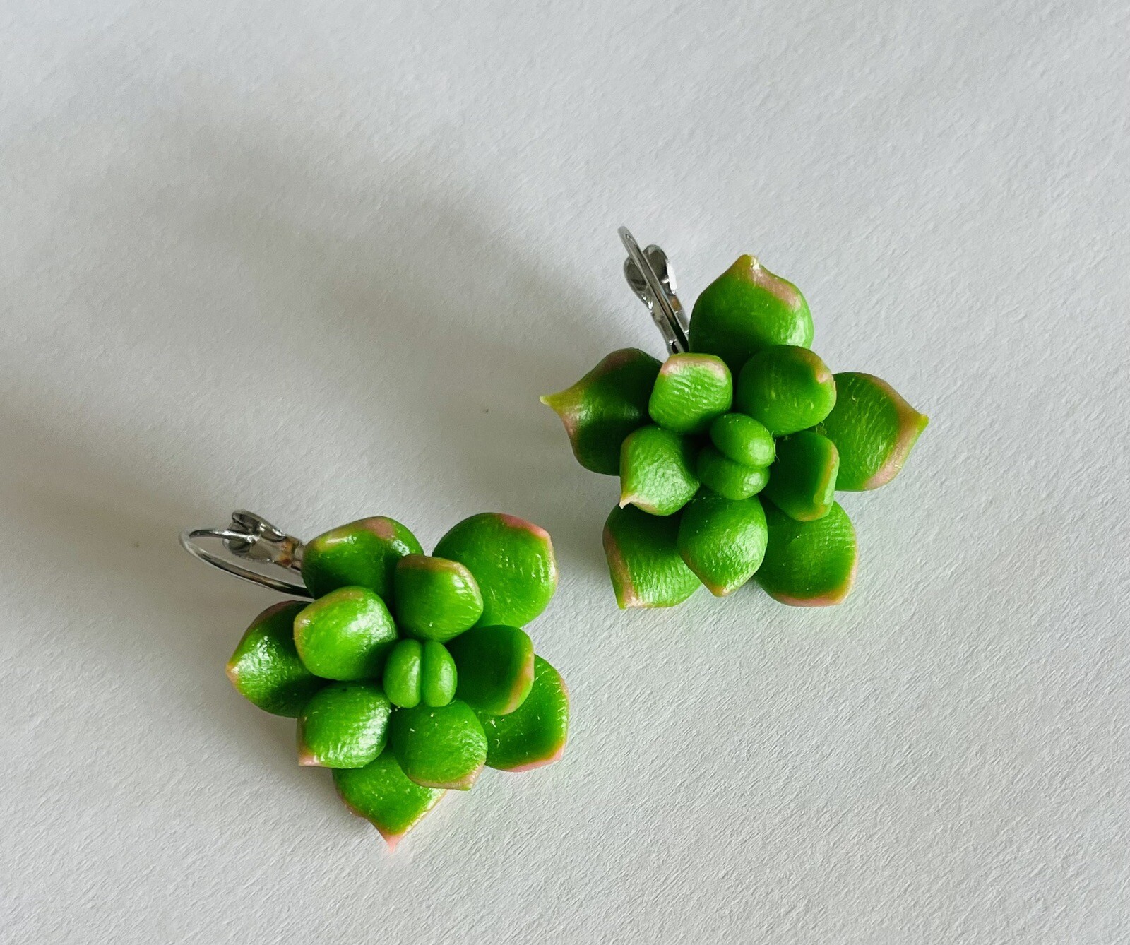 Succulent Earrings