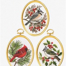 Frosty Feathers: Vibrant Winter Bird Cross Stitch Kit