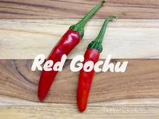 RARE✿ Back in Stock! Heirloom Red Gochu Hot Chili Pepper 15 Seeds ●Easy to Grow
