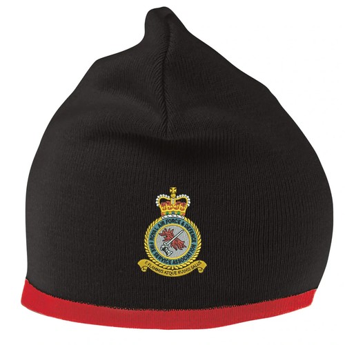 Cappello berretto RAF & Defence Fire Service Association con logo ricamato - Foto 3 di 7