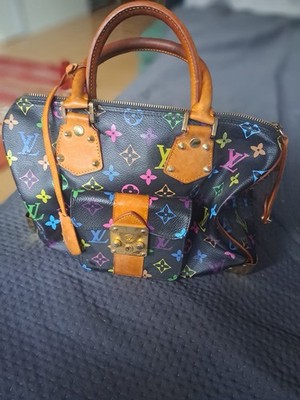 Louis Vuitton Speedy Multicolor Takashi Murakami