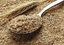 10Lbs Wheat Bran/Mids. Mealworm  Superworm food, bedding.