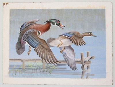 Robert Kusserow Original Acrylic Painting Wood Duck Stamp Listed Artist Dock