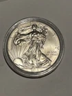 2013 American Silver Eagle 1 Ounce Coin Encapsulated BU Condition