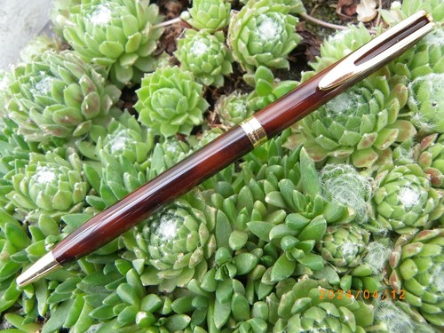 Stylo Bille Waterman CF Laque Automnale - Acier, Rechargé, Comme Neuf - Occasion