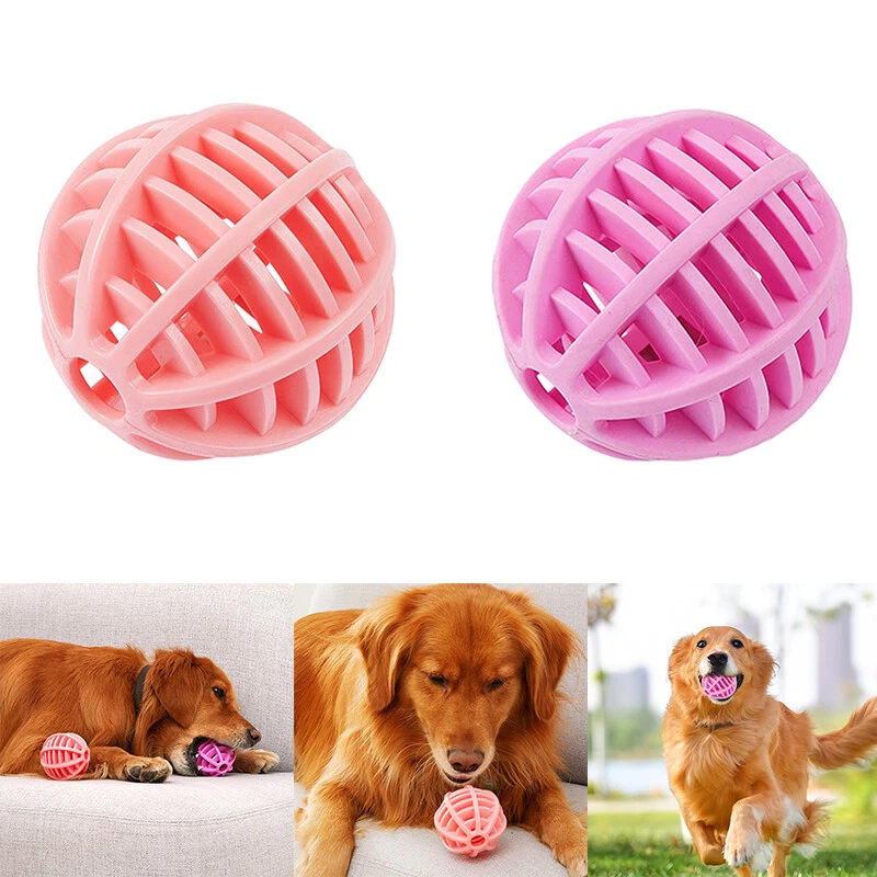 Fetch and treat dog toy cheap