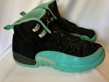 teal jordan 12