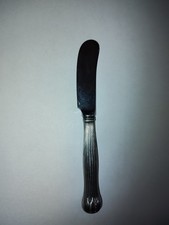 Botanical By Tiffany Sterling Silver Butter Spreader Hollow Handle WS 6"