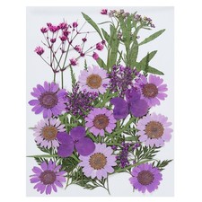 Dried Pressed Flowers Assorted Natural Leave Real Pressed Flowers Assorted Color